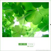 吃瓜四叶草娱乐,揭秘娱乐圈幕后故事