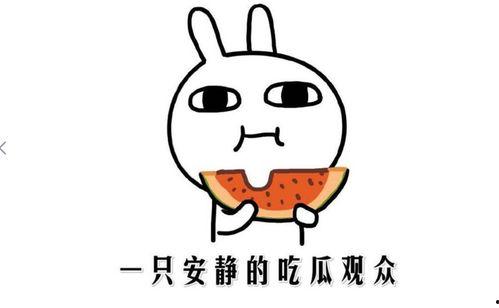 等着吃瓜是什么意思,揭秘网络热词背后的娱乐文化现象